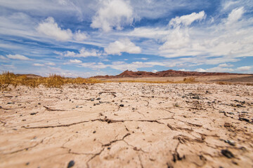 A Postcard of the Arizona Desert
