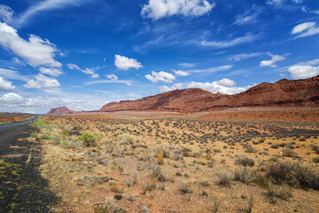 A Postcard of the Arizona Desert