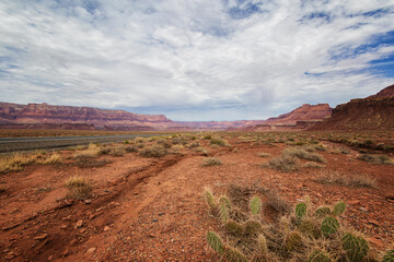 A Postcard of the Arizona Desert