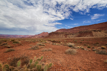 A Postcard of the Arizona Desert