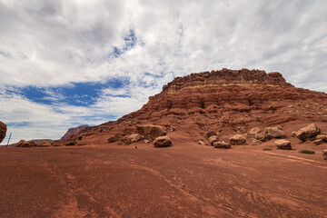 Naklejka premium A Postcard of the Arizona Desert