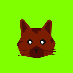 cat on a green background