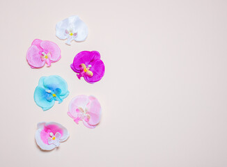 Many colorful flowers of rare orchids lie on a delicate beige or pink background: a place for text, a romantic card for Valentine's day, a wedding or a spa, top view