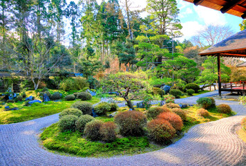 京都、曼殊院門跡の庭園