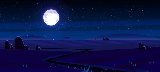 Fototapeten Rural landscape with agriculture fields at night. Vector cartoon illustration of countryside, farmland with trees silhouettes, road, full moon and stars in sky © klyaksun