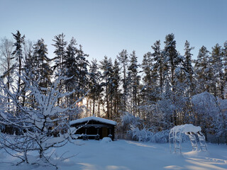A dark one-story wooden house - a round log bathhouse in the snow among snow-covered trees on a cold clear day.