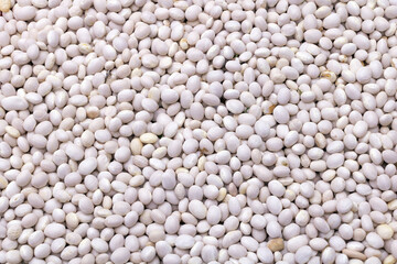 Close up shot of white beans raw textured