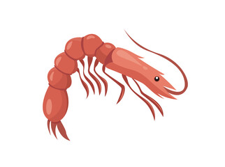 Shrimp, seafood in cartoon style. Illustration of a marine animal
