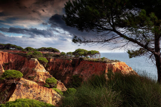 red sandstone rock, Falesia, Olhos d'Agua, Albufeira, Algarve, Portugal