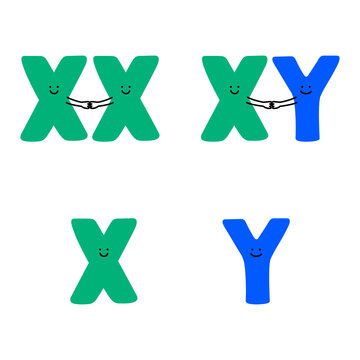 Illustration of sex chromosome mascot characters (white background, vector, cut out)