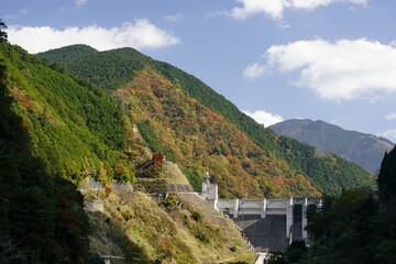 Fototapeta na wymiar 川上村　山秋色