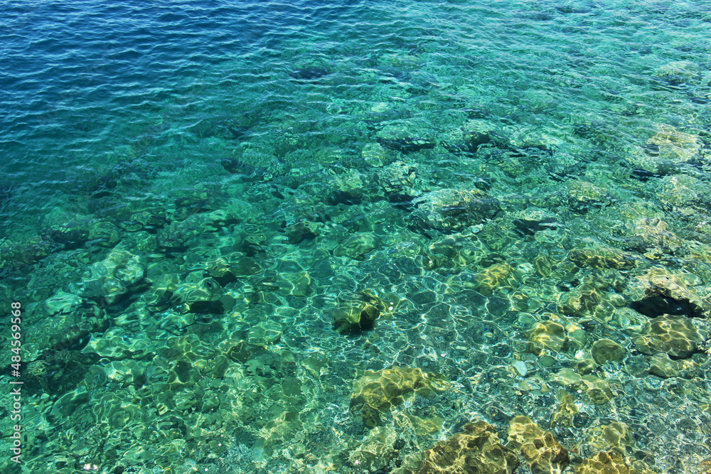 Wall mural beautiful background of transparent sea with rocky bottom