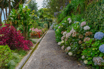 Botanical garden at Funchal, Madeira