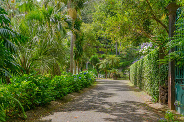 Botanical garden at Funchal, Madeira
