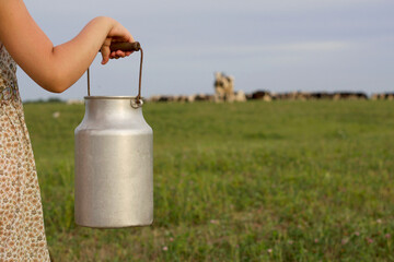girl hand holding milk jug in the field with farm cows