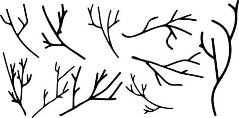 Set with different branches of a tree tree in black and white