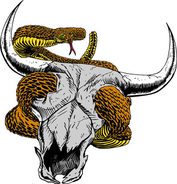 Snake in Cow Skull Vector Illustration