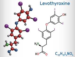 Levothyroxine, L-thyroxine molecule. It is synthetic form of the thyroid hormone thyroxine, T4 hormone, used to treat hypothyroidism. Structural chemical formula, molecule model