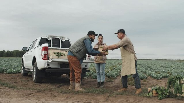 Long shot footage of young man buying vegetables at farmers loading boxes into pickup truck