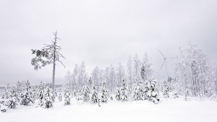 Windmills in Finland. Winter landscape with snow producing green and sustainable energy