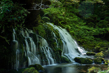 Fototapeta na wymiar 苔が生えた緑の岩と滝の流れ