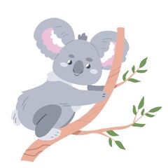 Cute koala sitting on a tree branch. Flat illustration isolated on white background 