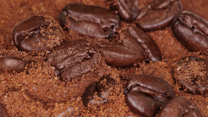 coffee beans background