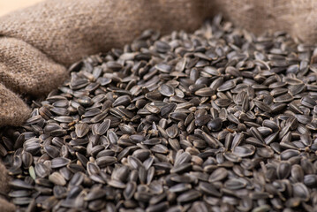 Sack of sunflower grain. Harvest of sunflowers on the farm.