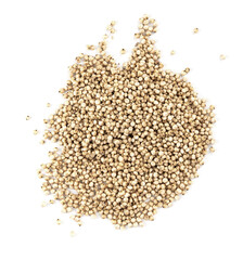 pile of raw unhulled Sorghum grains closeup on white background