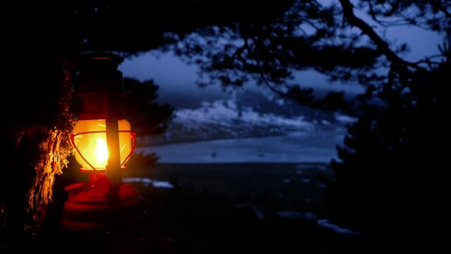 retro gas lamp hanging on tree in dark forest