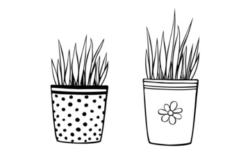 Flower pots with decorative grass, plant. Hand drawn simple black outline vector illustration in cartoon doodle style, isolated. Design element, clip art for decoration, coloring page