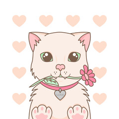 Valentine's card with white kitten with flower