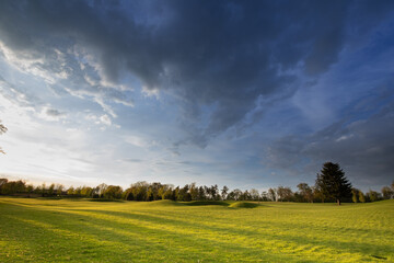 Bright sunset, forest edge and green meadow.