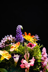 nice flower on the black background