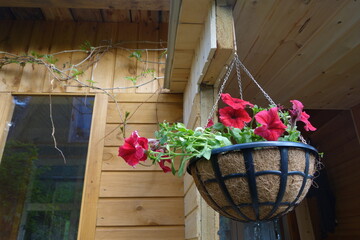A planter with red flowers hangs on the corner of the house