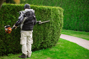 The gardener cuts the hedge, the topiary garden.