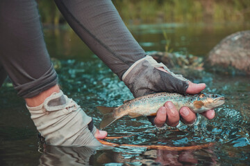 A fisherman releases a small trout into the stream.