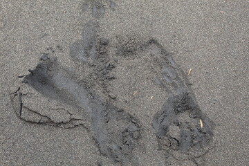 footprint on the sand
