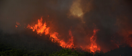 Fototapeta na wymiar Wildfire in the forest near a resort town.Marmaris, Turkey. Summer 2021