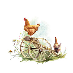 Watercolor farm poultry yard birds. - 484587342