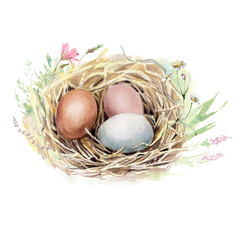 Watercolor farm poultry yard birds.