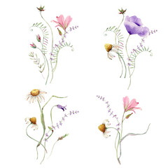 watercolor meadow flowers collection. - 484587349