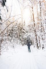 Skier in hat with pompom with ski poles in his hands with his back against the background of a snowy forest. Cross-country skiing in winter forest, outdoor sports, healthy lifestyle.