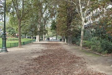 path in the park