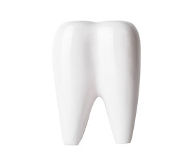 Healthy hygienic white tooth isolated on white background. High quality photo