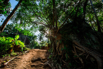 Fototapeta premium Background of mountains and nature surrounded, bright blue sky wallpaper. There are trees, green leaves, a beautiful ecology.