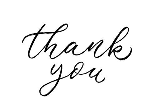 Thank you handwritten calligraphy. Modern hand drawn lettering. Vector text.