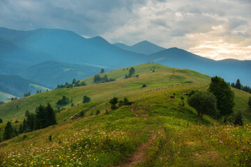 A meadow with wild flowers overlooking the green mountains in the background. summer sunny day in the mountains. © Ann Stryzhekin