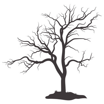 Scary dead tree silhouette image
