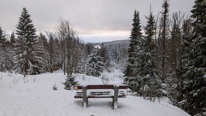 Landschaft im Winter mit Schnee